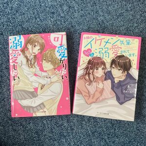 可愛がりたい、溺愛したい。 イケメン先輩に365日溺愛されています。（ケータイ小説文庫　野いちご）みゅーな＊＊／著　2冊セット