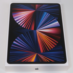 Apple iPad Pro 12.9インチ 第5世代 WiFi+Cellular 1TB スペースグレイ A2461