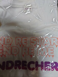 ENDRECHERI 堂本剛 グッズ Tシャツ 未開封　送料込