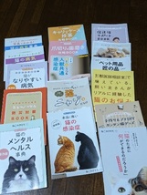 美品 ねこのきもち 2020年6月～2023年5月 　３６冊　抜け　落丁無し_画像4