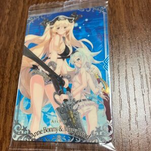 アン・ボニー&メアリー・リード カード