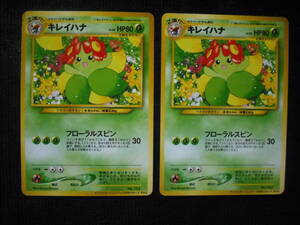 2枚セット キレイハナ 旧裏面 インフォメーションパック 2 プロモ ポケモンカード Information Pack Promo Cards Set