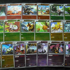 CP4 チャンピオンズパック ミラーセット !! サンダー ルチャブル ハリマロン イベルタルなど ポケモンカード Rainbow Cards Setの画像1