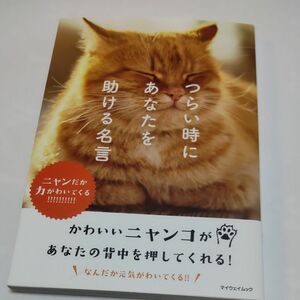 つらい時にあなたを助ける名言 ニャンだか力がわいてくる!!!!!!!!!!