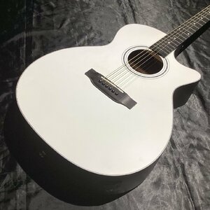 Vintage Guitars VEC1900WHS【三条店】