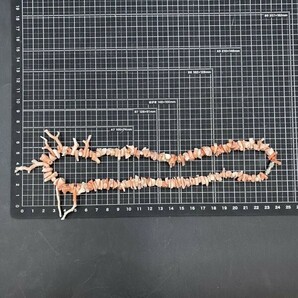 G1111 天然 枝珊瑚 白珊瑚 桃珊瑚 ネックレス 総重量35.8g コーラル サンゴ 和装洋装 レディースアクセサリーの画像5