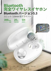 bluetooth5.3 ワイヤレスイヤホン 小型/軽量 イヤホン Bluetooth HiFi ブルートゥース AAC対応 Siri対応 IPX7防水 Type‐C急速充電