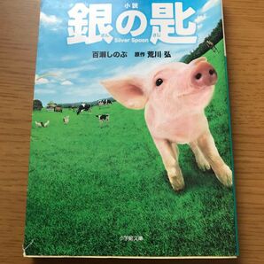 百瀬しのぶ 小説 銀の匙 Silver Spoon