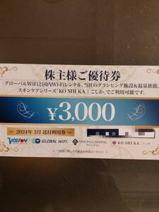 【最新】ビジョン 株主優待　Wi-Fiレンタルまたは宿泊　株主様ご優待券　3000円分 同梱可