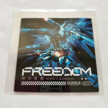 【新品】FREEDOM CD+オリジナルガンプラ 完全生産限定盤 西川貴教 with t.komuro 機動戦士ガンダムSEED FREEDOM 冷蔵庫マグネット付き_画像6