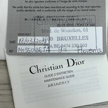 保証書付き Christian Dior クリスチャン ディオール レディディール パイソンレザー ドット風 ロゴチャーム 2way ハンドバッグ 21-MA-0114_画像9