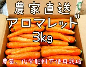 鹿児島県　農家直送　アロマレッド　3kg 人参