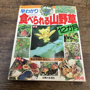 J-3637■早わかり 食べられる山野草 12か月 全国地域別・採取カレンダーつき■主婦と生活社■1989年2月10日 第4刷発行■