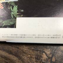 J-3650■プレイボーイ 日本版第121号 昭和60年7月号■大リーグ 井上陽水 紺野美沙子 キャンギャル■集英社■_画像9