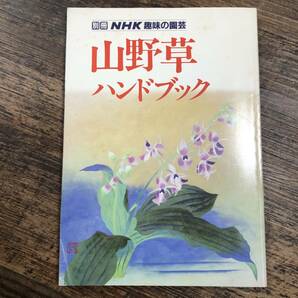 J-3653■山野草ハンドブック（別冊NHK 趣味の園芸）■日本放送出版協会■平成元年4月15日発行の画像1