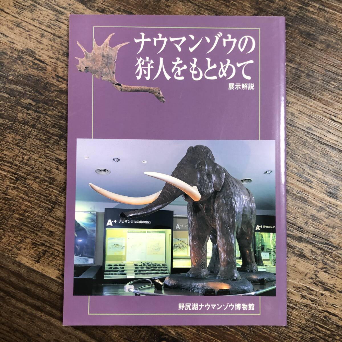 Yahoo!オークション -「ナウマン (ナウマン象 ナウマンゾウ)」の Yahoo!オークション -「ナウマン (ナウマン象 ナウマンゾウ)」の