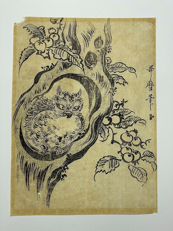 طباعة على شكل بومة خشبية من إيدو أوكيوي كيتاجاوا أوتامارو, تلوين, أوكييو إي, مطبوعات, آحرون