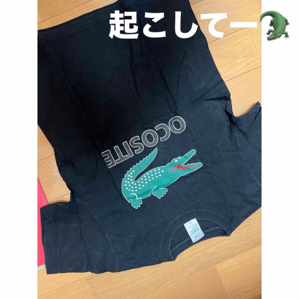 オコシテ シャツ 半袖 Tシャツ 綿 コットン シャツ Tシャツ 半袖Tシャツ ブラック トップス S