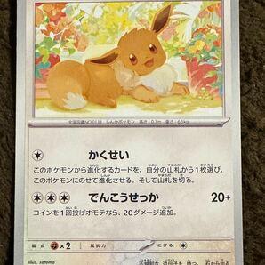 【美品】ポケモンカード イーブイ C（sv5a 050/066）たね かくせい でんこうせっか クリムゾンヘイズ 1枚（在庫１６枚）の画像1