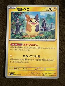 【美品】ポケモンカード モルペコ U（sv5a 030/066）たね おやつさがし ひろってつける クリムゾンヘイズ 1枚（在庫８枚）