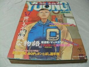 【　ヤングマガジン　1988年 No.21号　『 新連載・望月峰太郎「カラー」　読切・井田辰彦（現・イアダタツヒコ）「夢見童子」 掲載 』　】