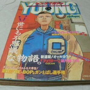 【 ヤングマガジン 1988年 No.21号 『 新連載・望月峰太郎「カラー」 読切・井田辰彦（現・イアダタツヒコ）「夢見童子」 掲載 』 】の画像1