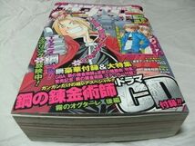 【　月刊 少年ガンガン　2004年5月号　※付録あり　巻中カラー・大久保篤 「ソウルイーター」＜新連載プレビュー版＞　読切・東川祥樹　】_画像1