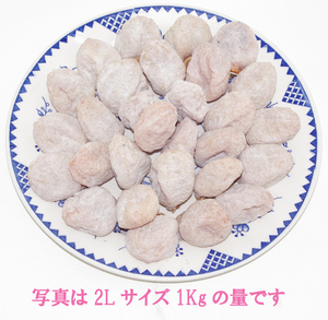 自家製直販 南信州市田柿　干し柿　１Ｋｇ　２Ｌサイズ(1個32g～35g) 大粒