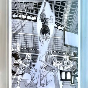 ハイキュー 10th クロニクル 日向翔陽 覚醒 ゴミ捨て場の決戦