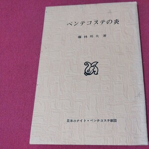 ペンテコステの炎 藤林邦夫 昭47 京都福音教会福音派 キリスト教 新約聖書神学宗教学カトリックプロテスタント教皇ルターカルヴァンNS-2