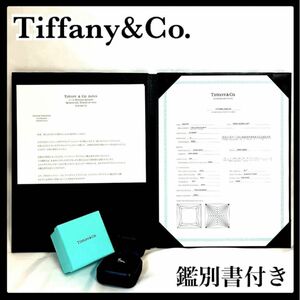 Tiffany&Co. ティファニー ハーモニー 10号 ダイヤモンドリング