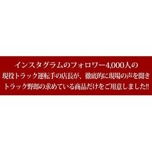 【ゆっくり点滅内蔵ホワイト】 24v led 電球 トラック 2個セット マクラ球 T10×31mm 5点留め星マーカー 1点留め星マーカー 竹村商会の画像2