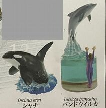 新江ノ島水族館への誘い 2 ☆ 海洋堂 フィギュア 5種 バンドウイルカ フンボルトペンギン シャチ ナヌカザメ クロホシイシモチ ☆_画像3