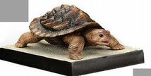 コナミ SFムービーセレクション ガメラ 小さな勇者たち トト ガメラ 幼体 ☆ GAMERA フィギュア_画像1