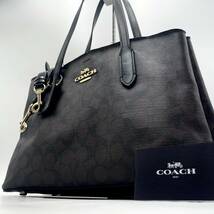 1円 COACH 【高級品】 コーチ シグネチャー 2way ショルダーバッグ トートバッグ レザー レディース 女性 アベニュー 斜め掛け_画像1