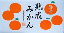 １円～スタート【徳島県産】熟成みかん　3Lサイズ　　約9㎏　_画像3