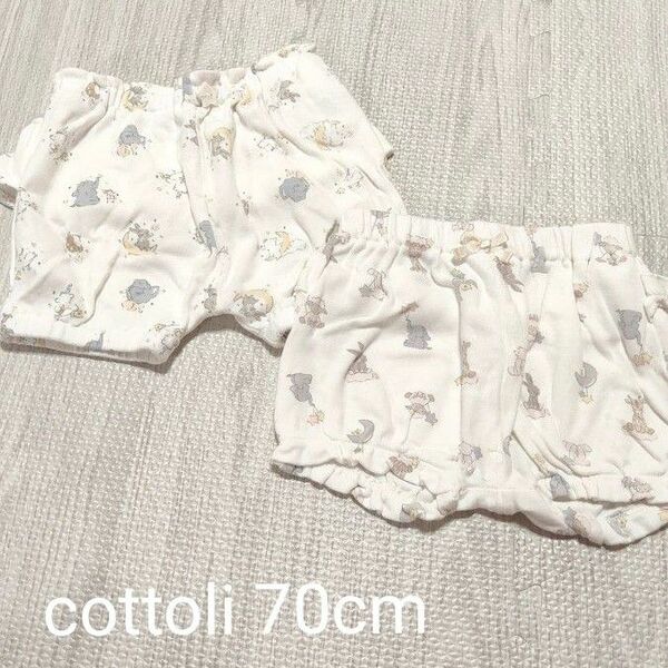 cottoli ブルマ70cm2枚セット