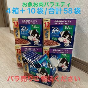 フィリックス 18歳 ツナ サーモン チキン 58袋 felix