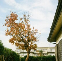 オリンパスフレックス OLYMPUS FLEX Ａ2.8 オリンパス zuikoレンズ 7.5㎝Ｆ2.8 二眼レフ _画像8