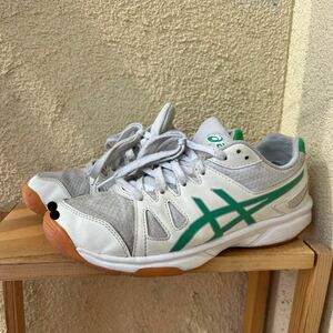 整理品　アシックス　asics スニーカー　上履き　室内履き　指定　高校　リサイクル　エコ　ECO