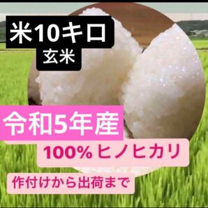 令和5年産ヒノヒカリ10キロ玄米　送料精米無料