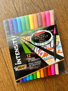 ビック(Bic) 水性 ペン 筆ペン 塗り絵 カラー セット Intensity デュアルチップ マーカー 12色 