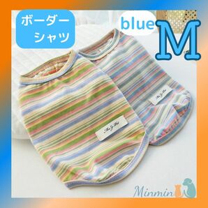 爽やかボーダーシャツ　ブルーM サイズ　春夏　犬服　ドッグウェア シャツ カットソー