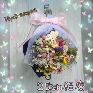 ★★Hydrangea★★ドライフラワースワッグ２５cm位母の日プレゼント贈物　退職　誕生　祝　春　千日紅　アンモビューム　貝細工