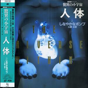 B00141987/LD/「NHKスペシャル・人体 2：しなやかなポンプ -心臓・血管-」