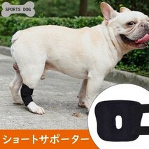 犬用サポーター★ショートサポーター★Mサイズ　捻挫や関節炎の予防 傷の保護 ケガや手術後のリハビリに★マジックテープで簡単脱着_画像2