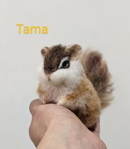 　**TAMA**　シマリス　木の台付き　羊毛フェルト　ハンドメイド 　animal　ミニチュア_画像1