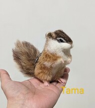 　**TAMA**　シマリス　木の台付き　羊毛フェルト　ハンドメイド 　animal　ミニチュア_画像3