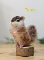 　**TAMA**　シマリス　木の台付き　羊毛フェルト　ハンドメイド 　animal　ミニチュア_画像8