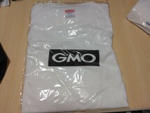 GMO　Tシャツ、マスク、ミニトートバッグセット_画像2